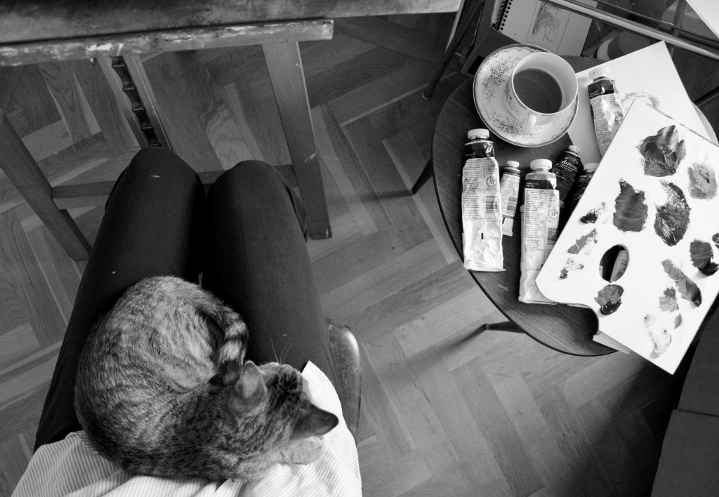 Studio Anna Engebrethsen cat